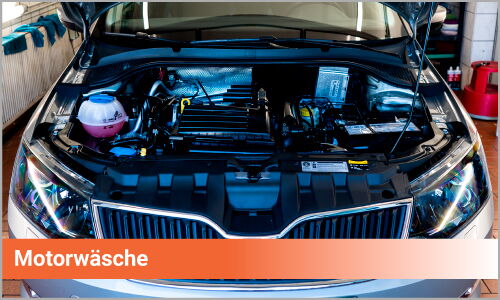 Fahrzeug Motorwäsche